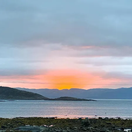 Lovely In With Wifi *